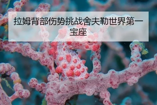 拉姆背部伤势挑战舍夫勒世界第一宝座