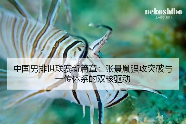 zhong-guo-nan-pai-shi-lian-sai-xin-pian-zhang-zhang-jing-yin-qiang-gong-tu-po-yu-yi-chuan-ti-xi-de-shuang-he-qu-dong-3-501.jpg