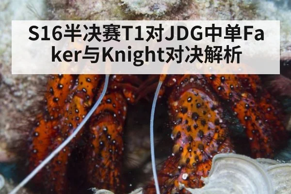 S16半决赛T1对JDG中单Faker与Knight对决解析